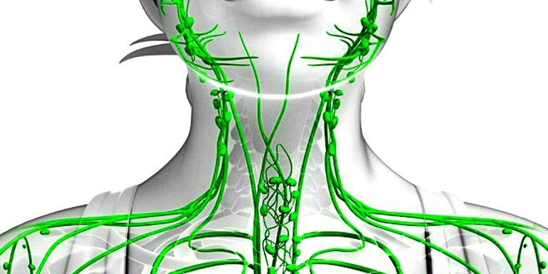 Чем опасен застой лимфы